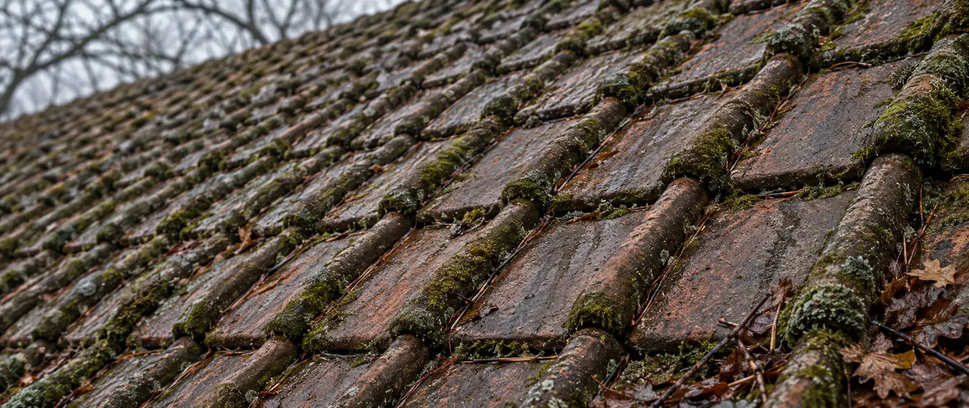 Démoussage de toiture à Grande-Synthe : tuiles à emboîtement couvertes de mousse, de feuilles mortes et d’aiguilles