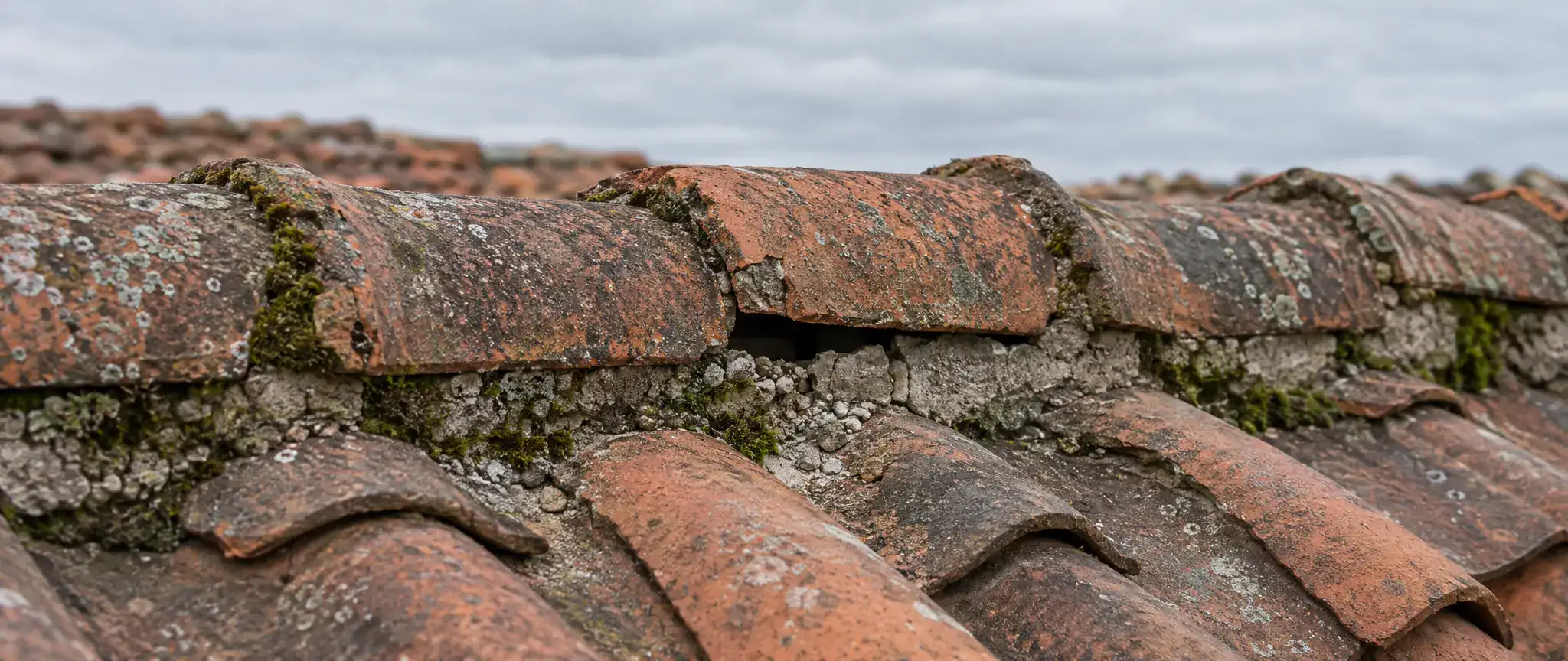 Faîtage de toiture à Bourbourg : faîtières anciennes aux joints de mortier fissurés et couverts de mousse