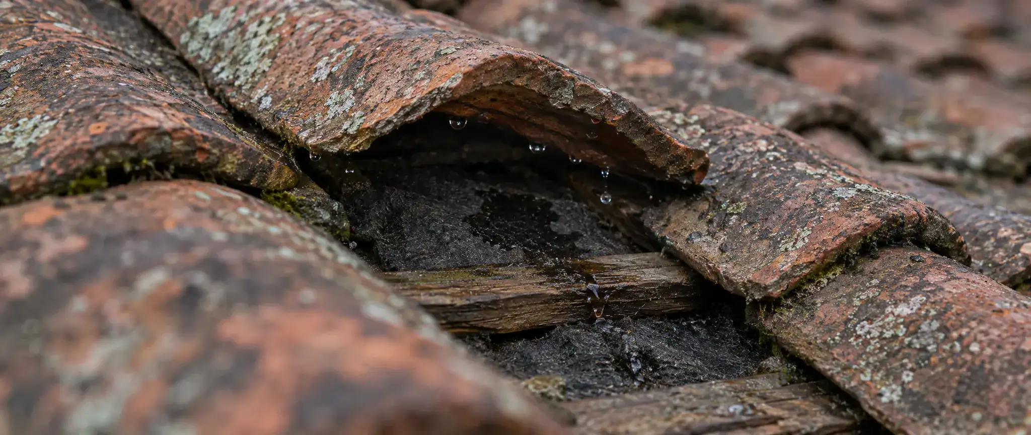 Fuite de toiture à Bourbourg : tuile flamande soulevée sur une sous-toiture humide, gouttes d’eau sur le liteau